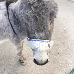 池田動物園