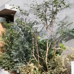 中村食糧