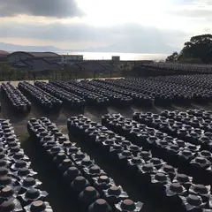 坂元のくろず「壺畑」情報館