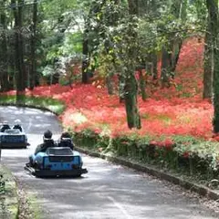 皇子原公園