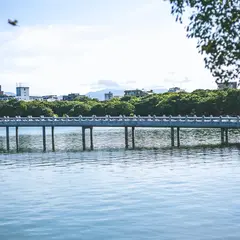 大濠公園 西側児童遊園（どんぐり公園）