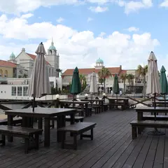 ＴＨＥ ＢＥＡＣＨ