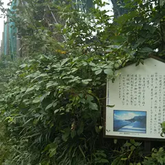 観音崎ボードウォーク