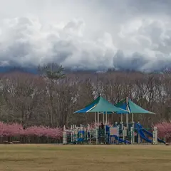 みずほの自然の森公園