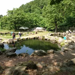 右左口の里市営つり堀