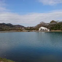加賀フィッシングエリア