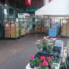 ウェスタまるき 山口大内店