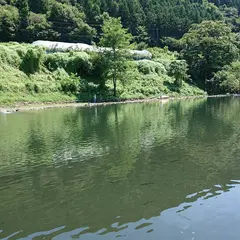 フィッシングポイントベリーズ迦葉山