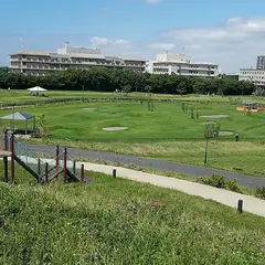 高洲海浜公園