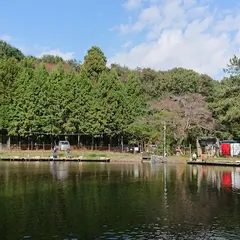 trout pond NOIKE
