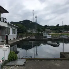 元田養鱒場