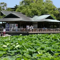 鶴岡八幡宮（休憩所）