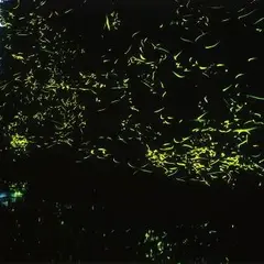 下吉田関地区周辺
