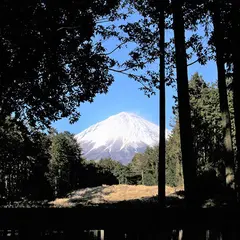 山宮浅間神社