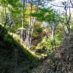 根羽城跡