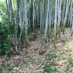 城の腰城跡