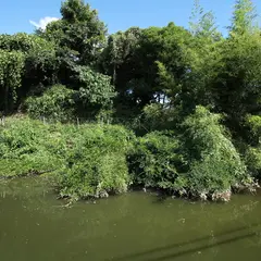 山村館跡