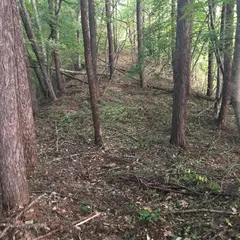 長尾城跡