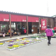 かしわで農産物直売所