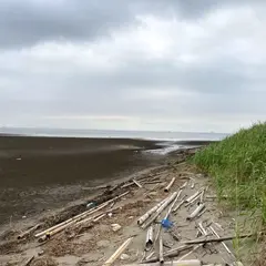 浸透実験池跡