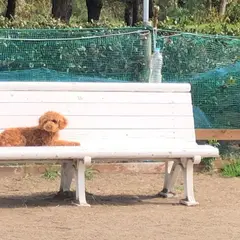 水軒公園 ドッグラン場