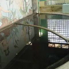 浅草観音温泉