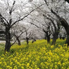天神下公園