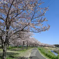 大堀川リバーサイドパーク