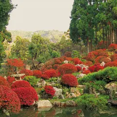長楽寺
