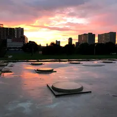 難波宮大極殿跡