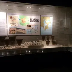 明治大学博物館
