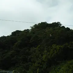 千代ヶ崎砲台跡