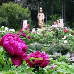桂昌寺