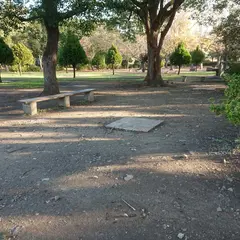 篠崎公園バーベキュー広場