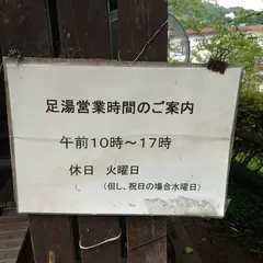 ふれあいの里 湯の瀬 足湯