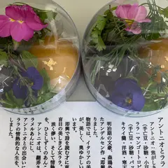 菓子屋 のな