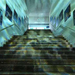 すみだ水族館