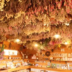 ダマスクの風 CAFE