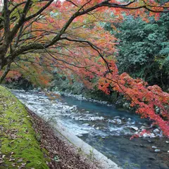青井岳自然公園