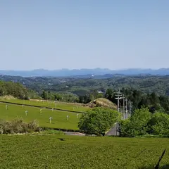 森林科学館