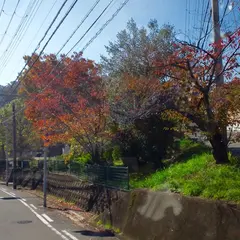 日吉台南公園