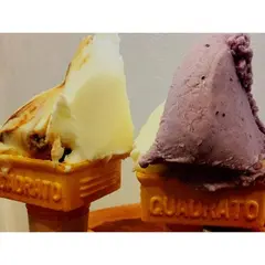 NATURA KYOTO（ナトゥーラキョウト）梅小路公園前店