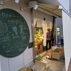 野菜のちから
