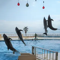 マリンワールド海の中道