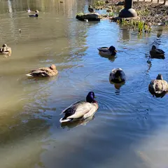 宝来公園