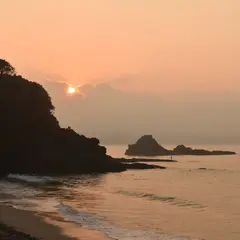 田牛