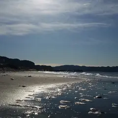 新舞子海岸