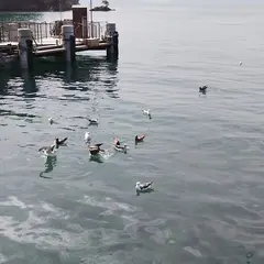 いーわーね