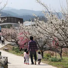 満汐梅林