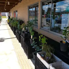 道の駅すいかの里